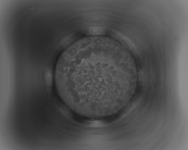 X0000102810741200808251109