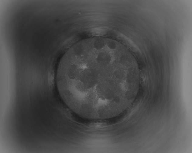 X0000102810745200808251109