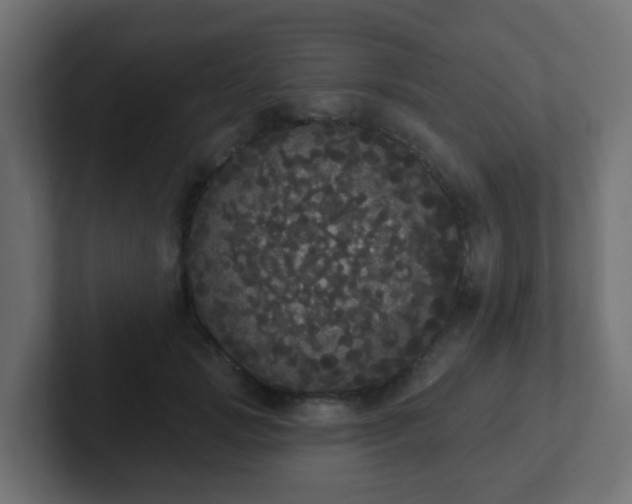 X0000102810749200808251109