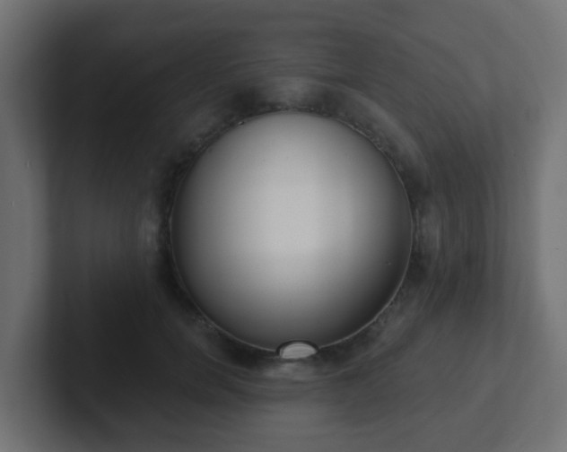 X0000102810750200808251109