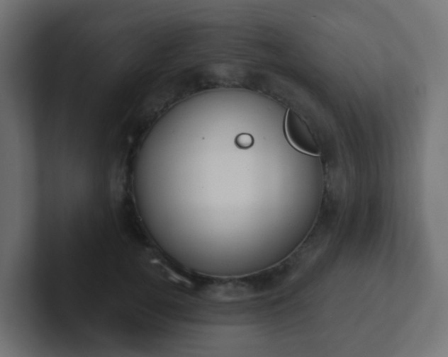 X0000102810752200808251109