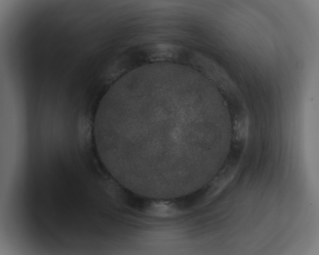 X0000102810753200808251109