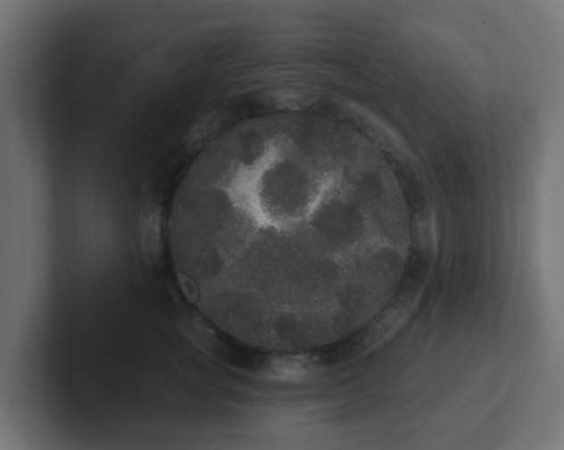 X0000102810757200808251109