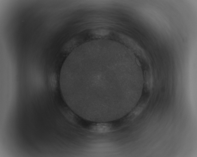 X0000102810758200808251109