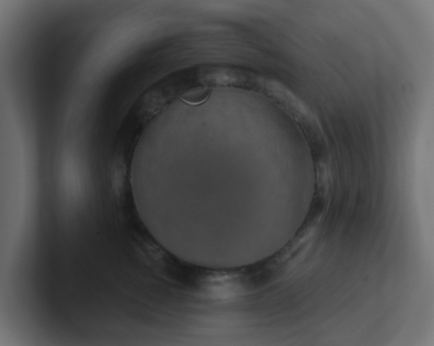 X0000102810760200808251109