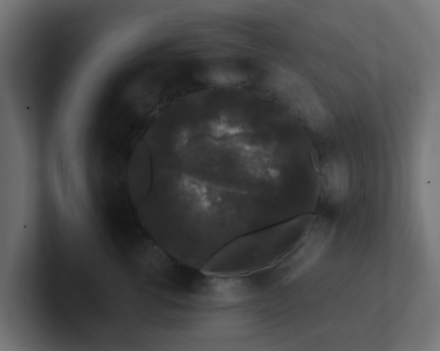 X0000102810762200808251109