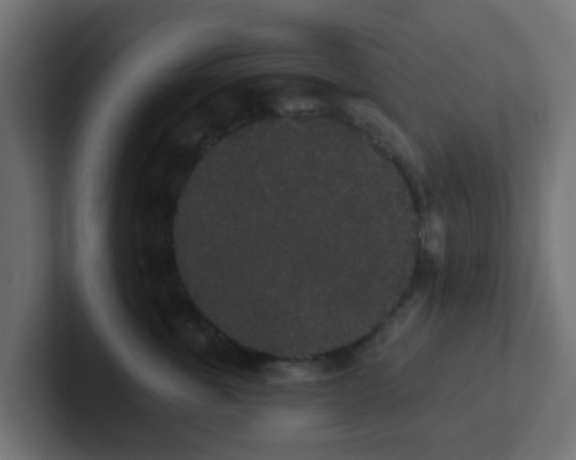 X0000102810763200808251109