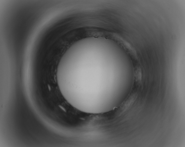 X0000102810764200808251109