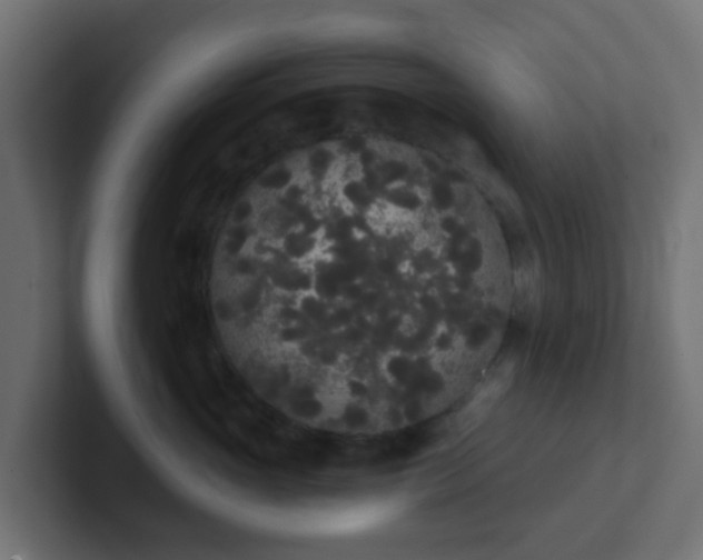 X0000102810765200808251109