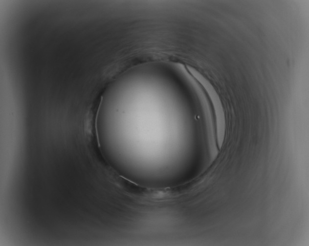 X0000102810768200808251109