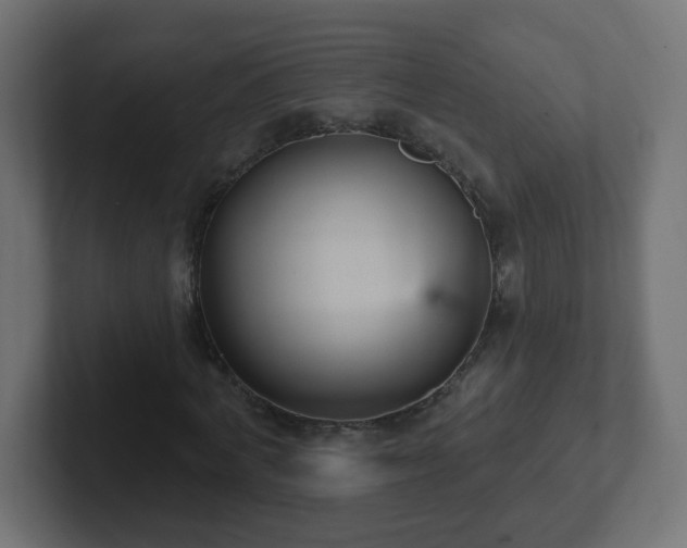 X0000102810772200808251108