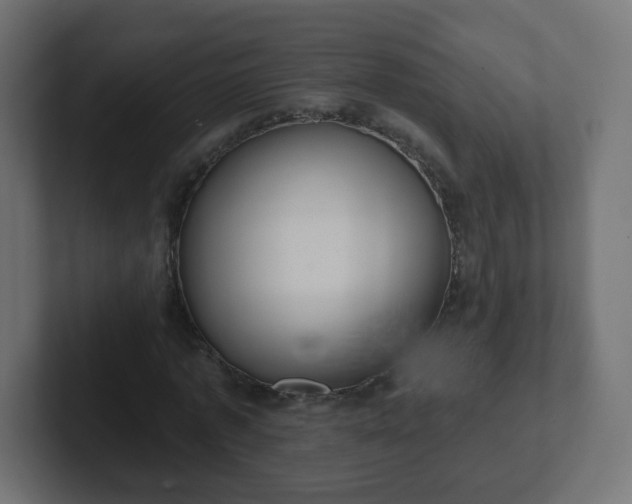 X0000102810773200808251108