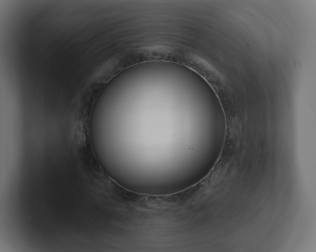 X0000102810774200808251108