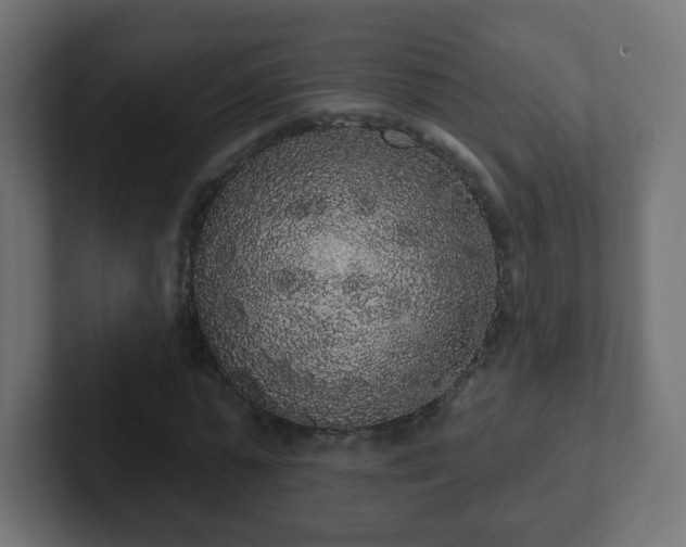 X0000102810775200808251108