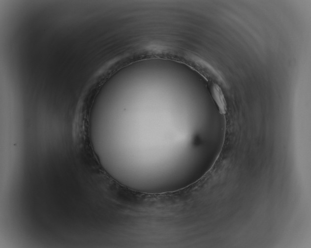 X0000102810776200808251108