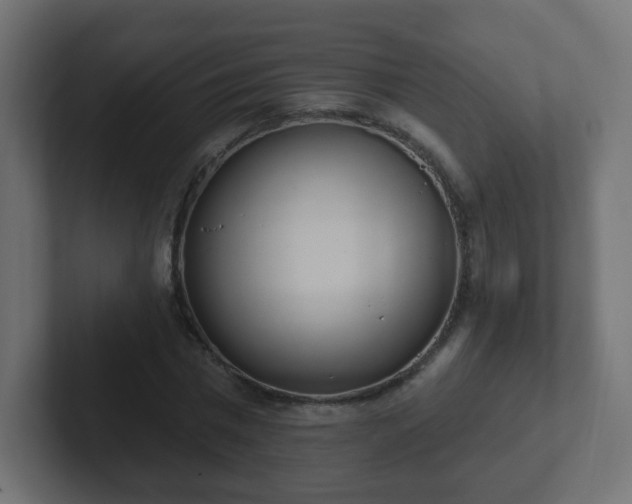 X0000102810777200808251108