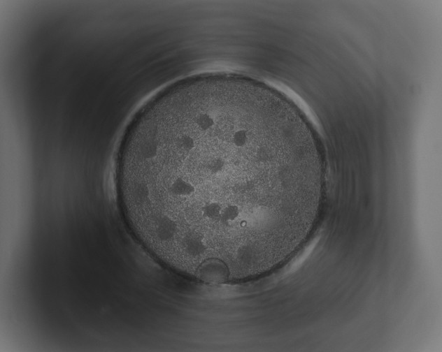 X0000102810783200808251108