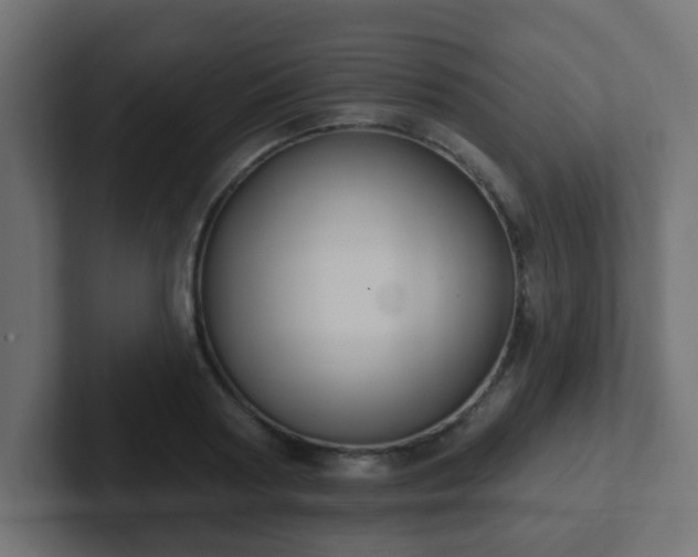 X0000102810794200808251108