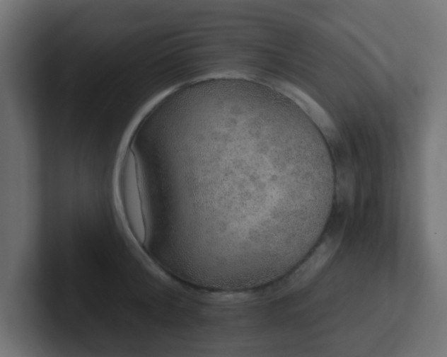 X0000102810804200808251108