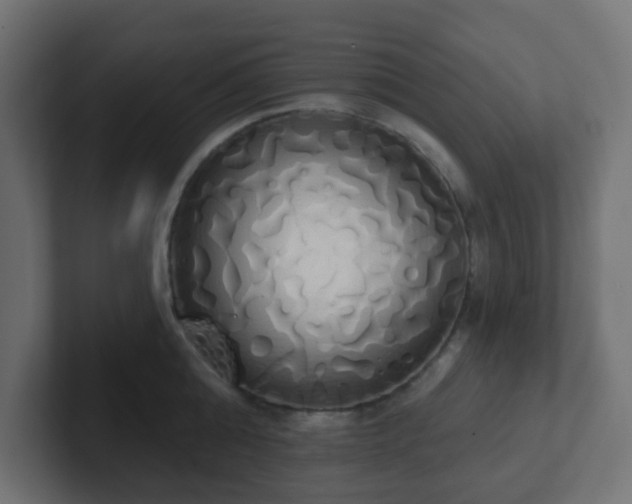 X0000102810808200808251108