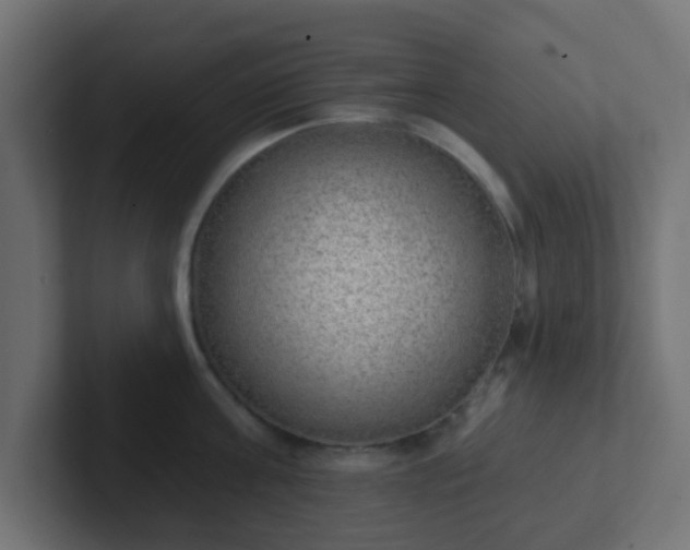 X0000102810811200808251108