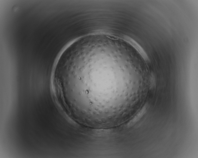 X0000102810812200808251108