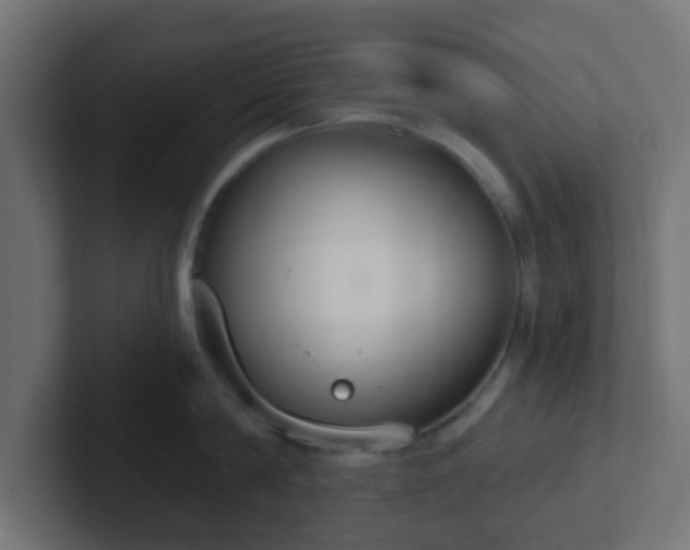 X0000102810814200808251108