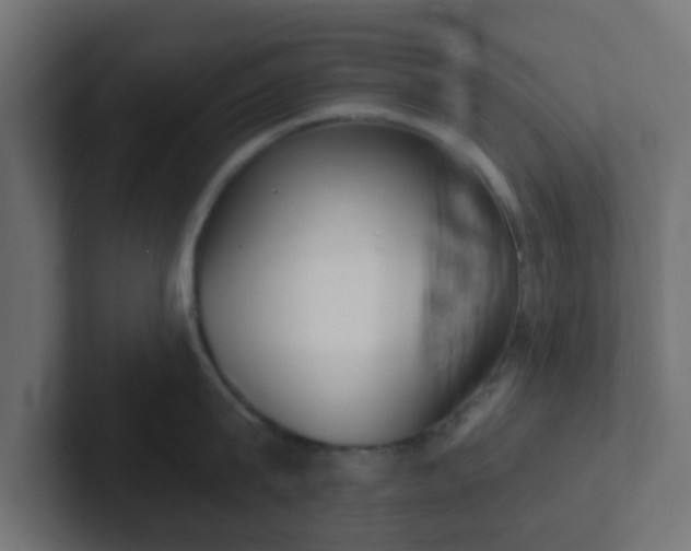 X0000102810815200808251108