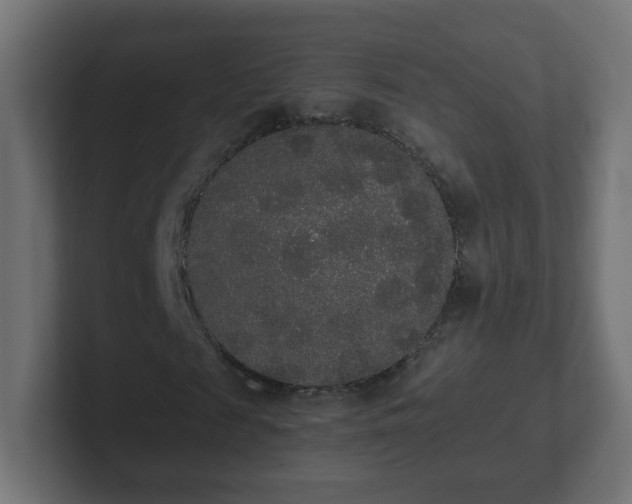 X0000102810817200808251107