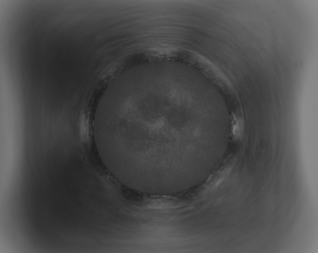 X0000102810819200808251107