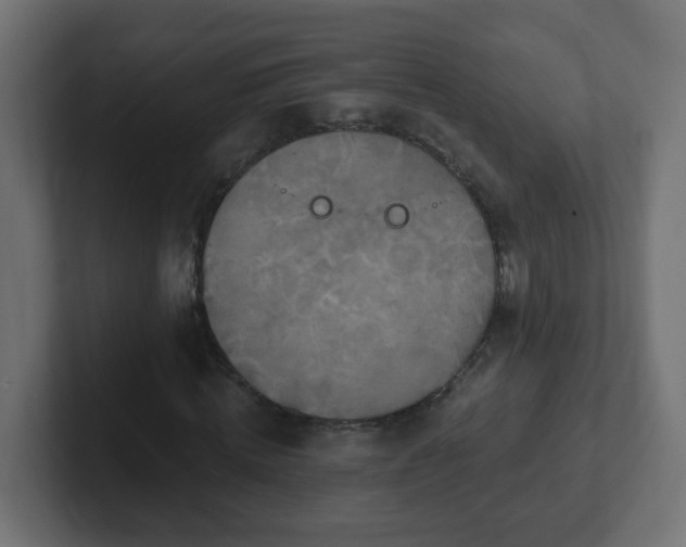 X0000102810820200808251107