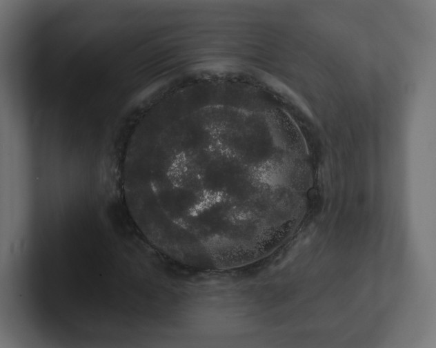 X0000102810822200808251107