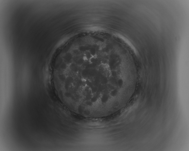 X0000102810823200808251107