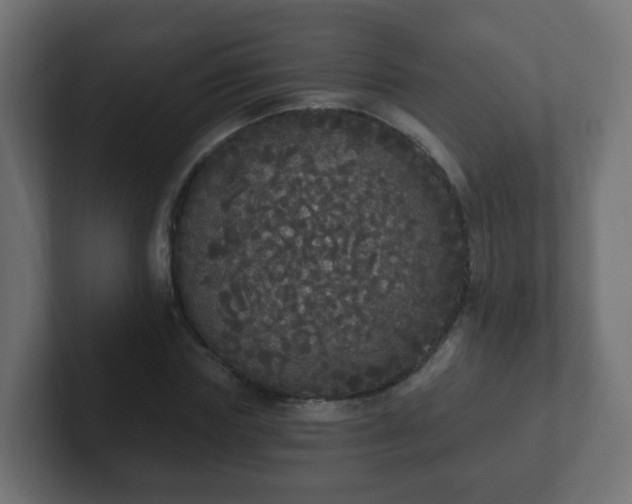 X0000102810827200808251107