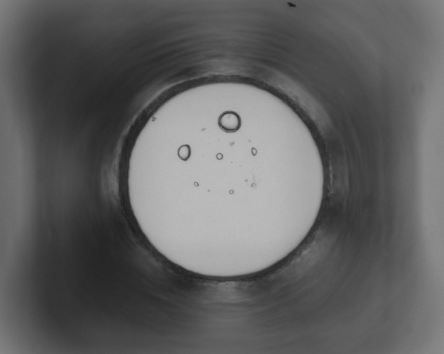 X0000102810828200808251107