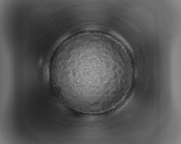 X0000102810829200808251107