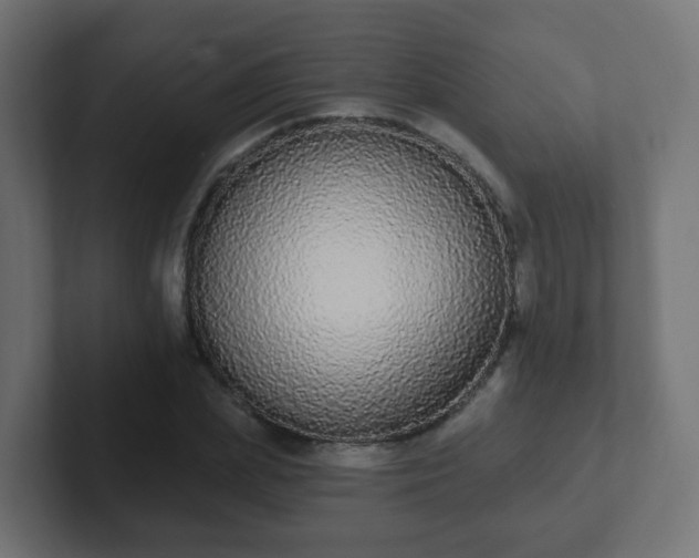 X0000102810831200808251107