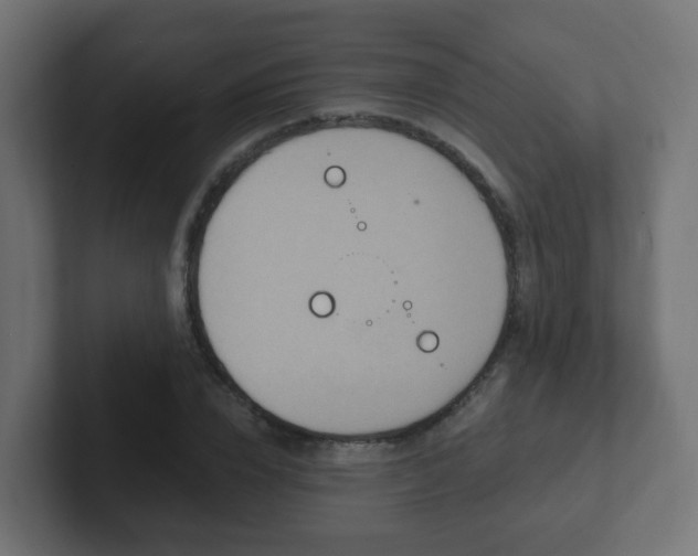 X0000102810832200808251107