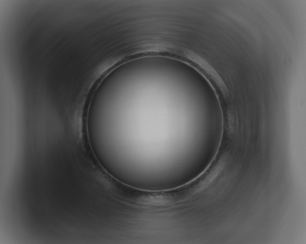 X0000102810834200808251107