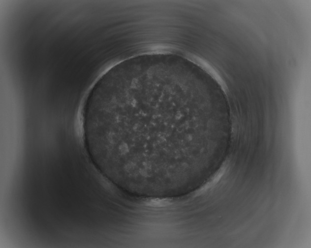 X0000102810835200808251107