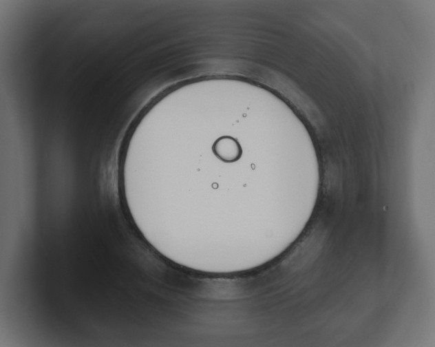 X0000102810836200808251107