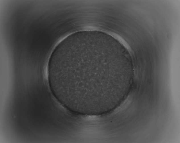 X0000102810839200808251107