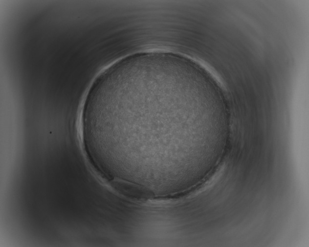 X0000102810840200808251107