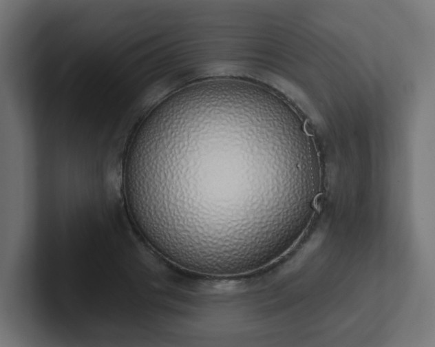 X0000102810841200808251108