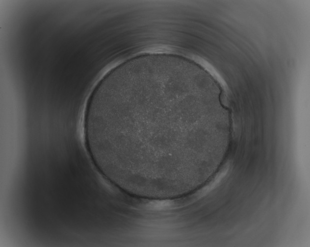 X0000102810845200808251108