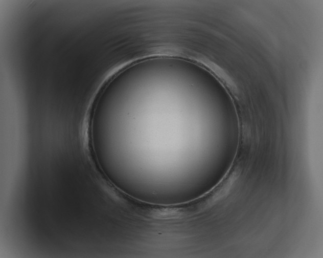 X0000102810846200808251108