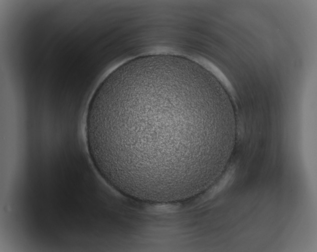 X0000102810847200808251108