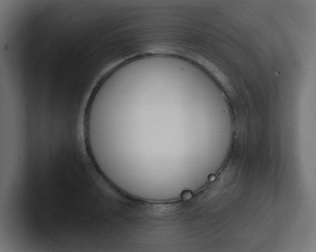 X0000102810848200808251108