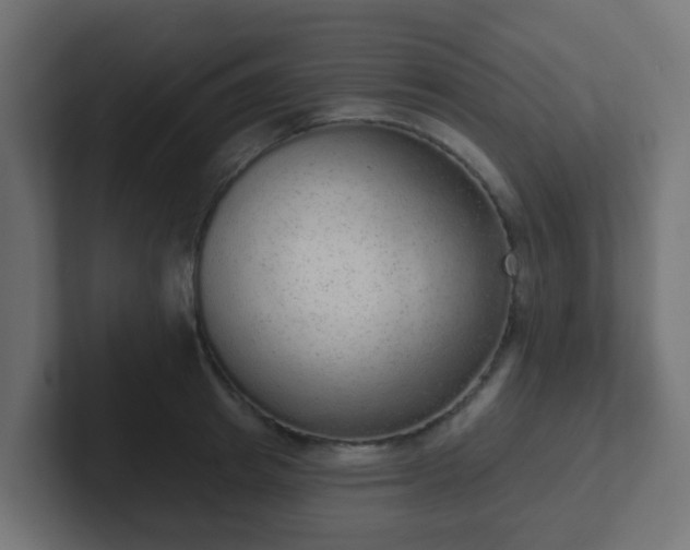 X0000102810849200808251108