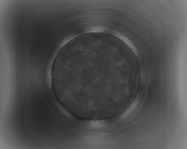 X0000102810850200808251108